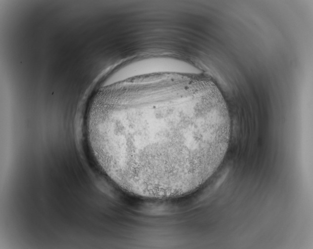 X0000086930351200705141747