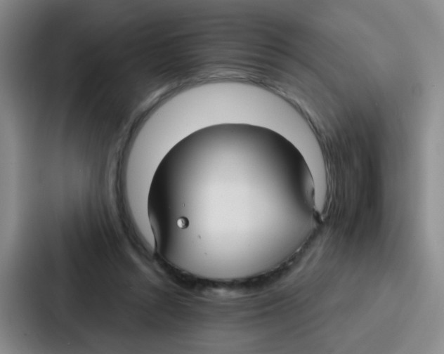 X0000086930352200705141747