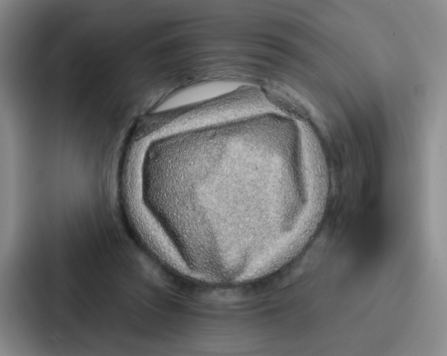 X0000086930353200705141747