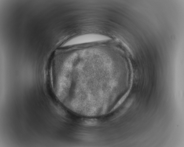 X0000086930355200705141747