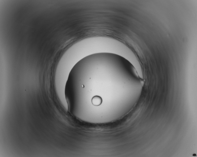 X0000086930356200705141747