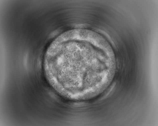 X0000086930357200705141747