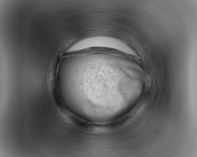 X0000086930360200705141747