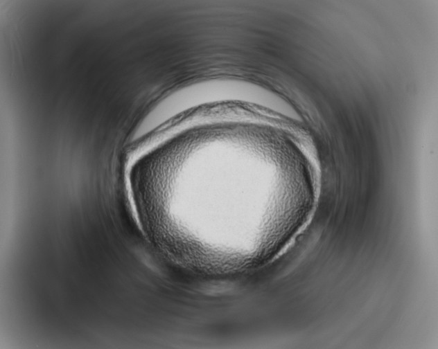 X0000086930361200705141747