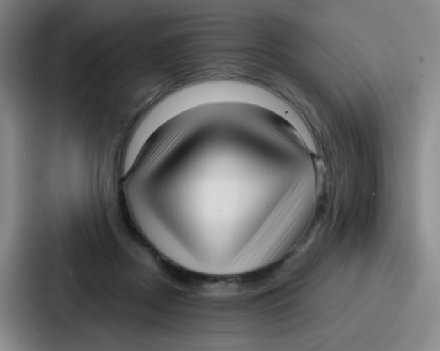 X0000086930362200705141747