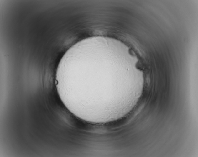 X0000086930363200705141747