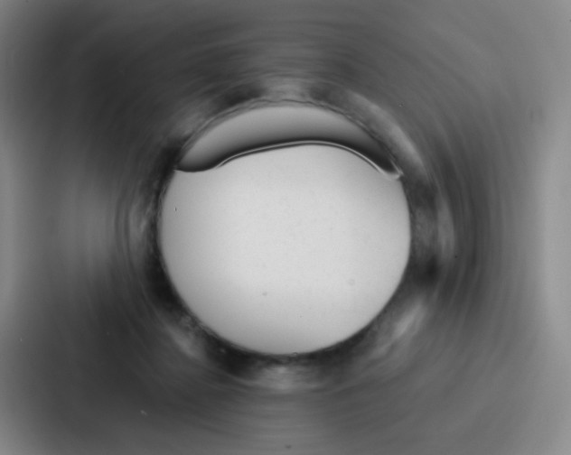 X0000086930364200705141747