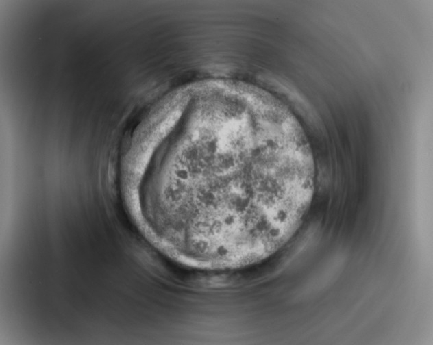 X0000086930365200705141747