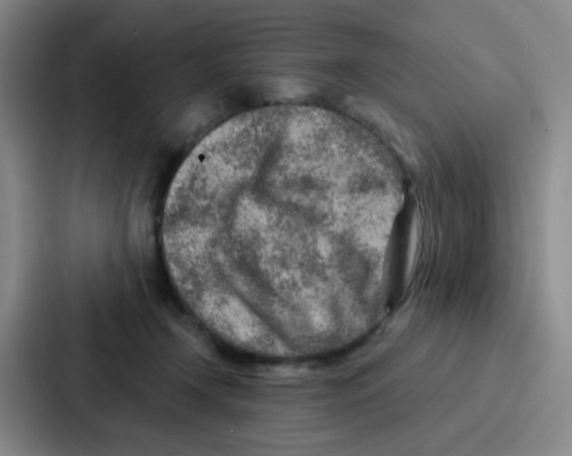 X0000086930366200705141747