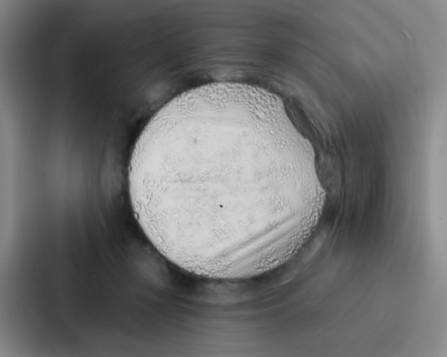 X0000086930367200705141747