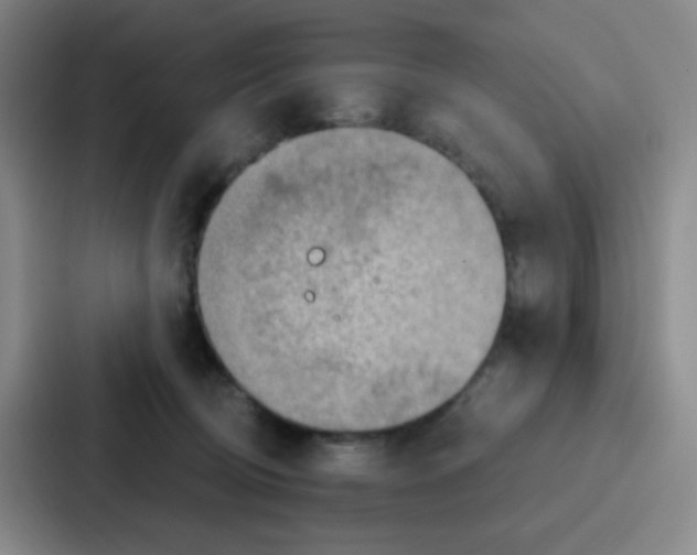 X0000086930370200705141747