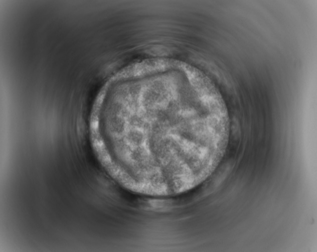 X0000086930371200705141747