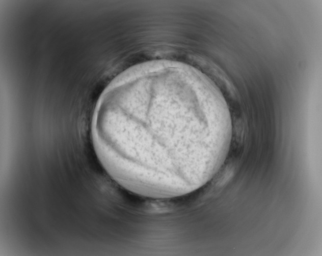 X0000086930372200705141747