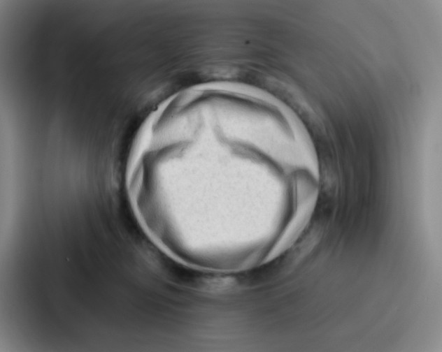 X0000086930374200705141747