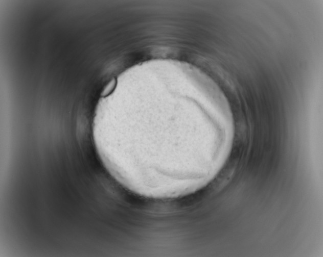 X0000086930375200705141747