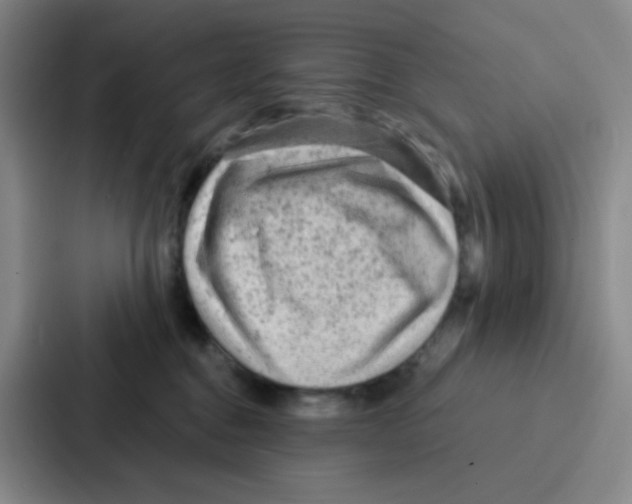 X0000086930376200705141747