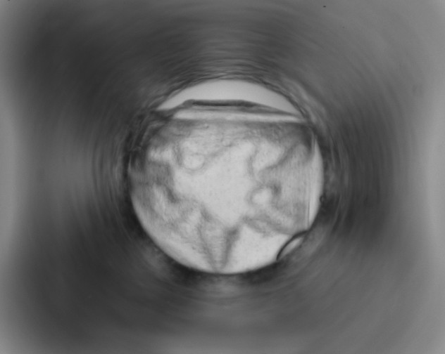 X0000086930377200705141747