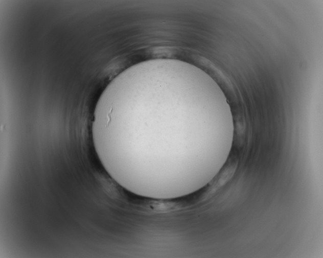 X0000086930379200705141747