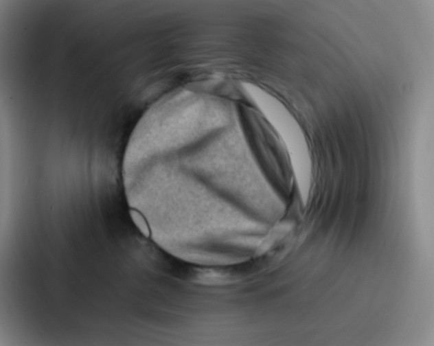 X0000086930380200705141747