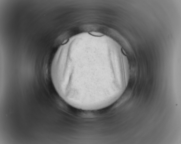 X0000086930381200705141747