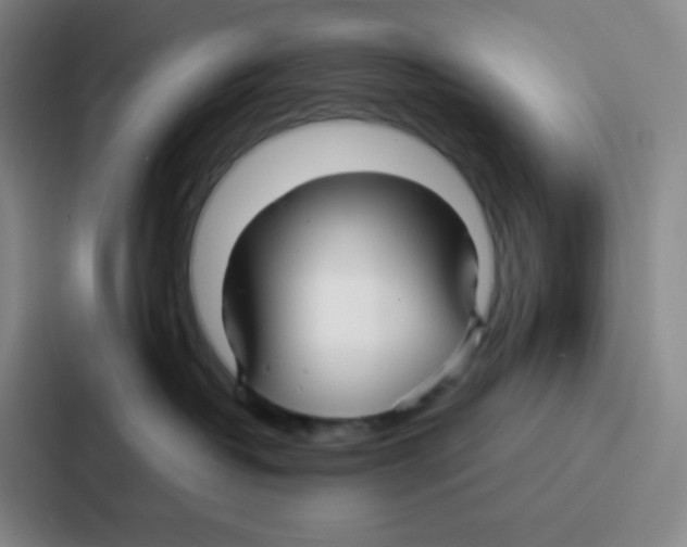 X0000086930382200705141747