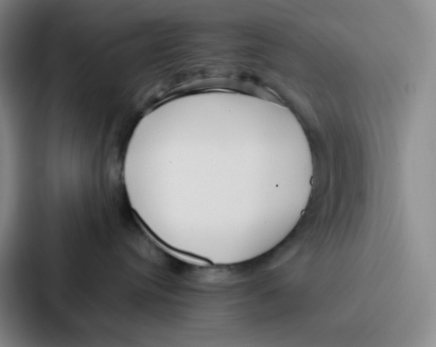 X0000086930384200705141747