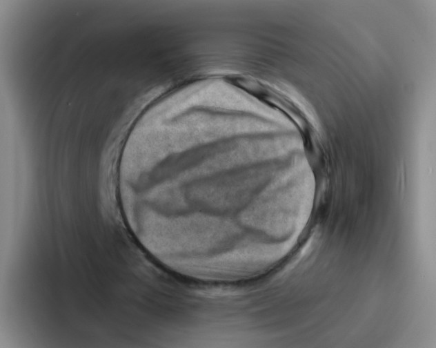 X0000086930385200705141746