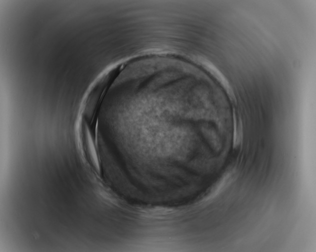 X0000086930387200705141746