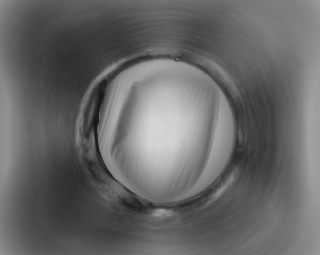 X0000086930388200705141746