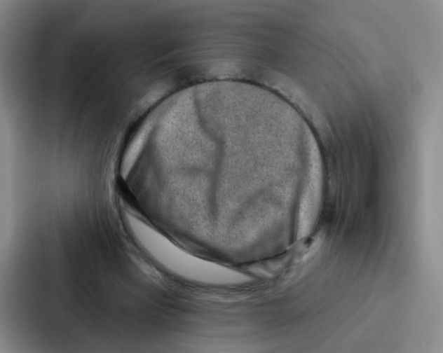 X0000086930393200705141746