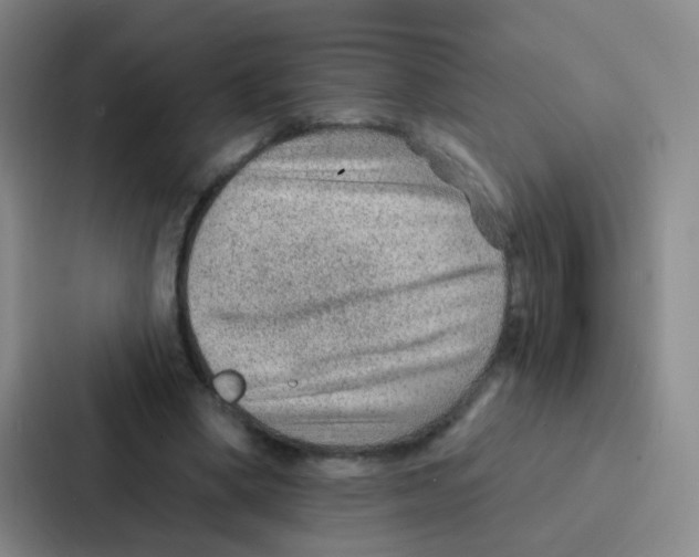 X0000086930394200705141746