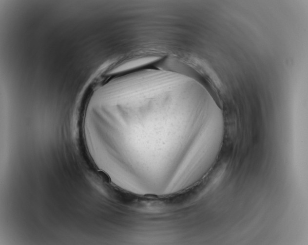 X0000086930395200705141746