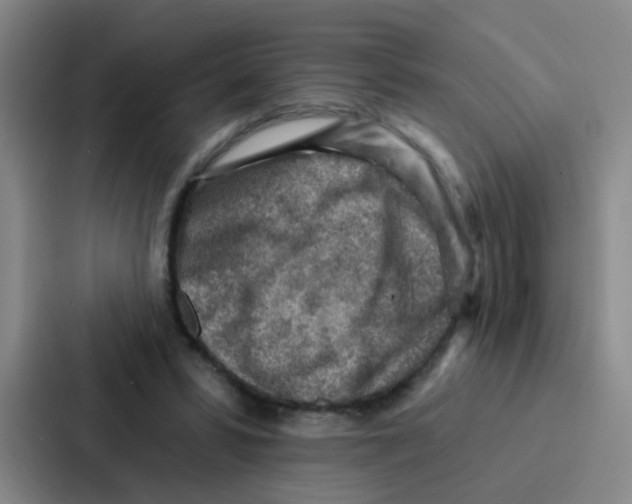 X0000086930399200705141746