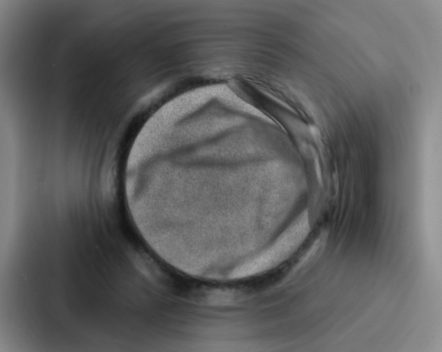 X0000086930400200705141746