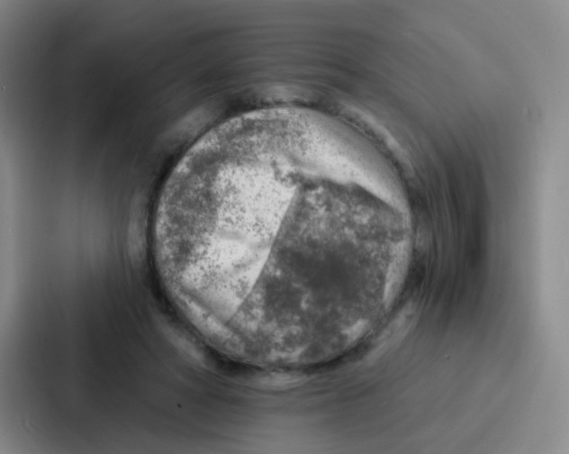 X0000086930402200705141746