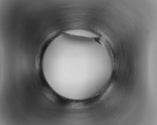 X0000086930403200705141746