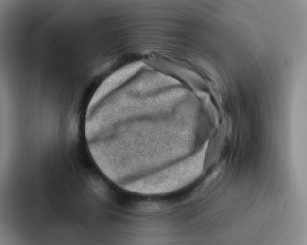 X0000086930404200705141746