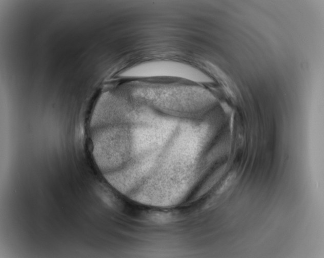 X0000086930405200705141746