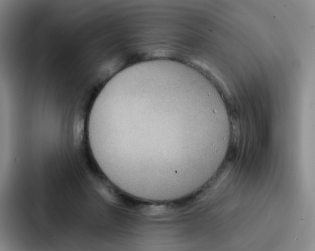 X0000086930406200705141746