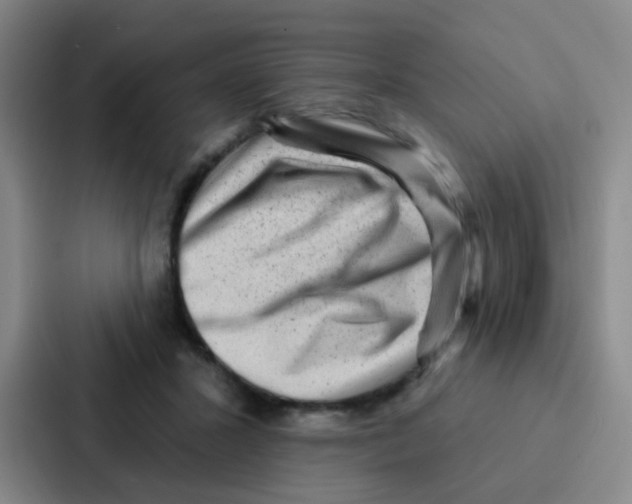 X0000086930407200705141746