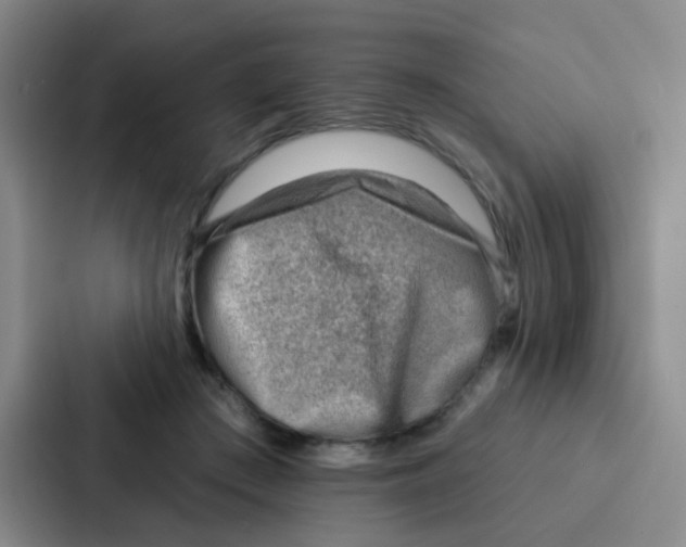 X0000086930409200705141746