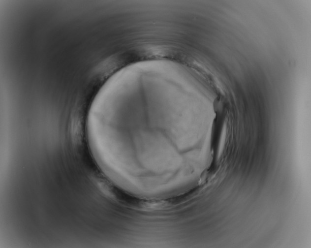 X0000086930410200705141746