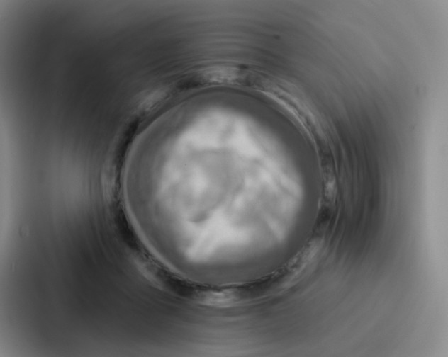 X0000086930411200705141746