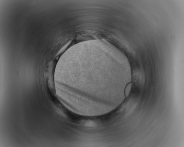 X0000086930412200705141746