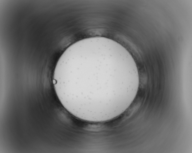 X0000086930414200705141746