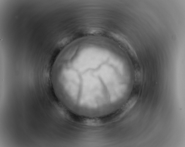 X0000086930415200705141746