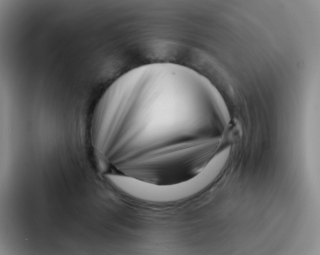 X0000086930416200705141746