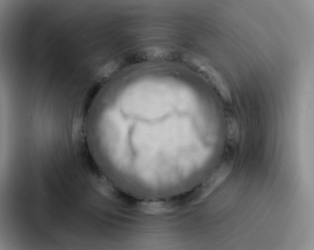 X0000086930419200705141746