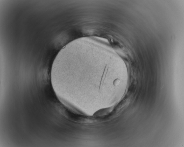 X0000086930420200705141746