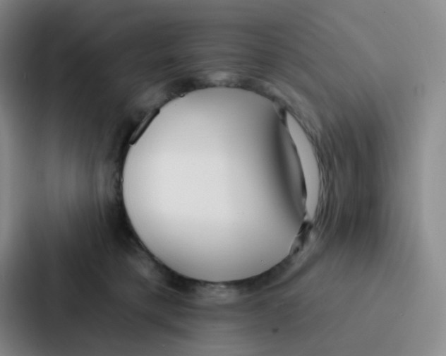 X0000086930421200705141746